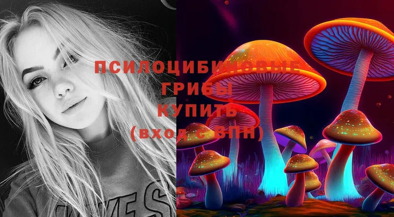 Псилоцибиновые грибы Cubensis Орлов